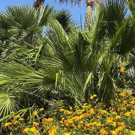 Castellammare Smart Castellammare del Golfo